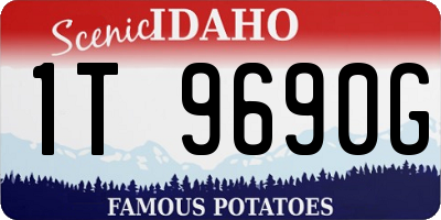 ID license plate 1T9690G