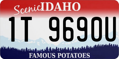 ID license plate 1T9690U