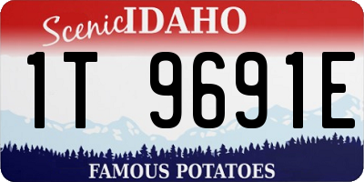 ID license plate 1T9691E