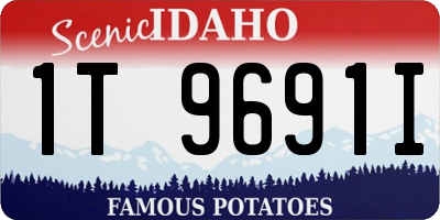 ID license plate 1T9691I
