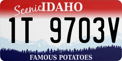 ID license plate 1T9703V