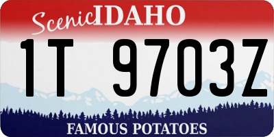 ID license plate 1T9703Z