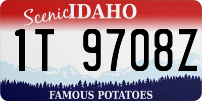 ID license plate 1T9708Z