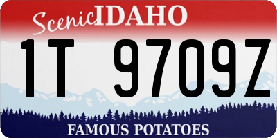 ID license plate 1T9709Z