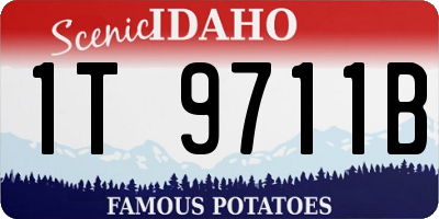 ID license plate 1T9711B
