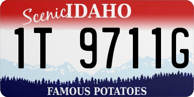 ID license plate 1T9711G