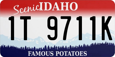 ID license plate 1T9711K