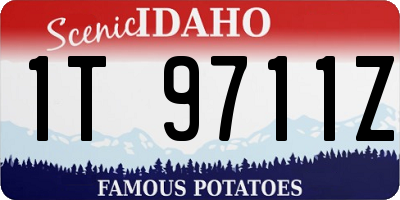 ID license plate 1T9711Z
