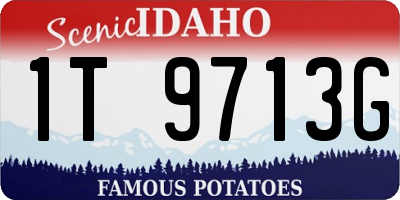 ID license plate 1T9713G