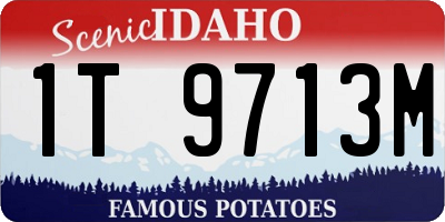 ID license plate 1T9713M