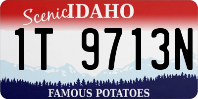 ID license plate 1T9713N