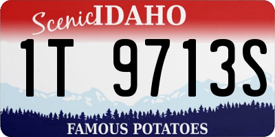 ID license plate 1T9713S