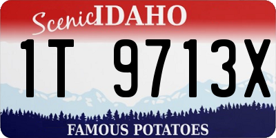 ID license plate 1T9713X