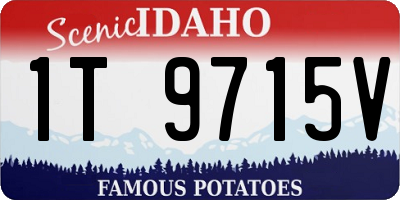 ID license plate 1T9715V