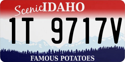 ID license plate 1T9717V