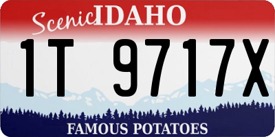 ID license plate 1T9717X