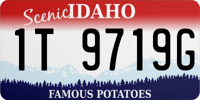 ID license plate 1T9719G