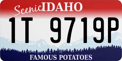 ID license plate 1T9719P