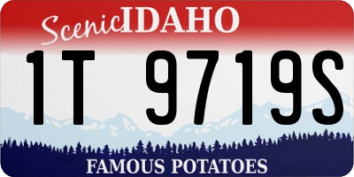 ID license plate 1T9719S