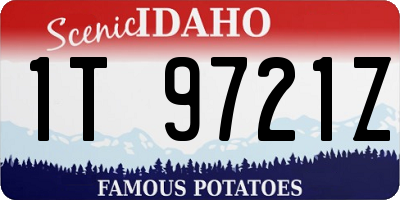 ID license plate 1T9721Z