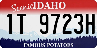 ID license plate 1T9723H