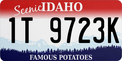 ID license plate 1T9723K