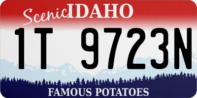 ID license plate 1T9723N