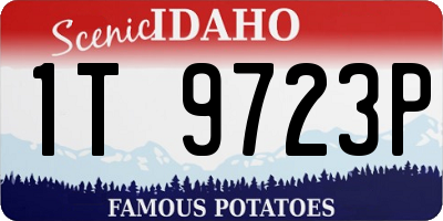 ID license plate 1T9723P