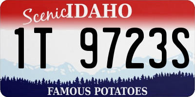 ID license plate 1T9723S