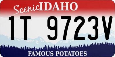 ID license plate 1T9723V