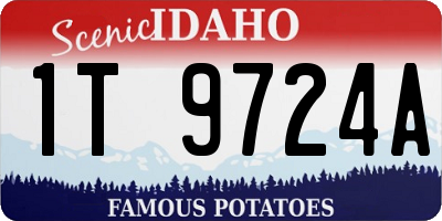 ID license plate 1T9724A