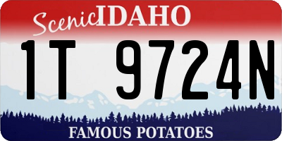 ID license plate 1T9724N