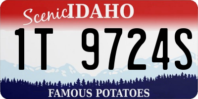 ID license plate 1T9724S