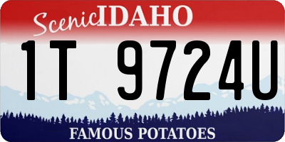 ID license plate 1T9724U