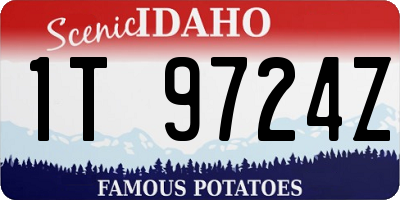ID license plate 1T9724Z