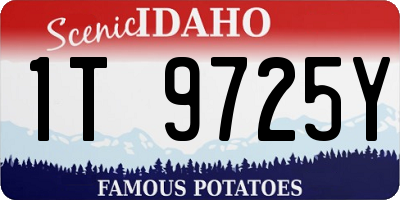 ID license plate 1T9725Y