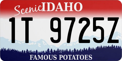 ID license plate 1T9725Z