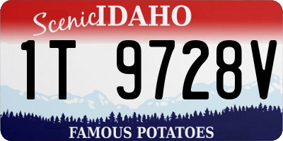 ID license plate 1T9728V