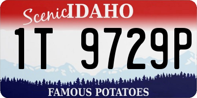 ID license plate 1T9729P