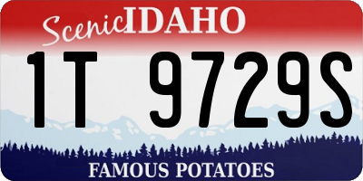 ID license plate 1T9729S