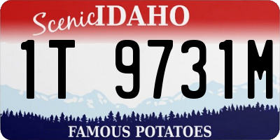 ID license plate 1T9731M