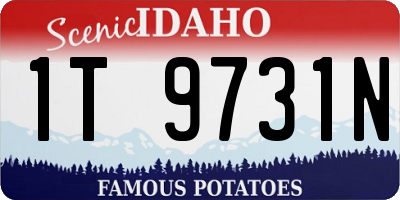 ID license plate 1T9731N