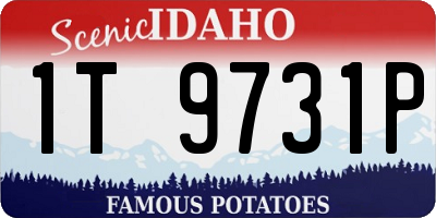 ID license plate 1T9731P