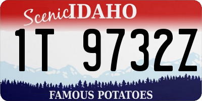 ID license plate 1T9732Z