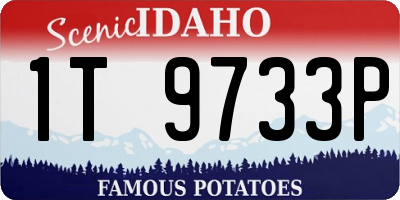 ID license plate 1T9733P
