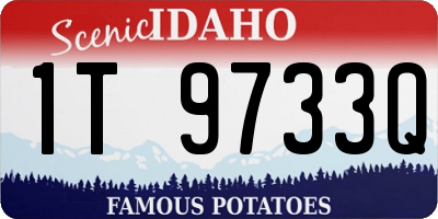 ID license plate 1T9733Q