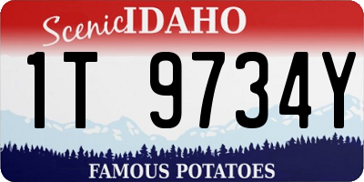 ID license plate 1T9734Y