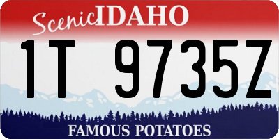 ID license plate 1T9735Z