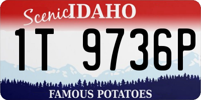 ID license plate 1T9736P