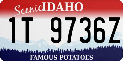 ID license plate 1T9736Z